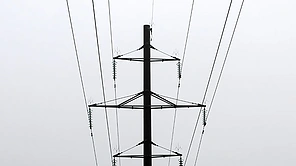 Elektros laidai