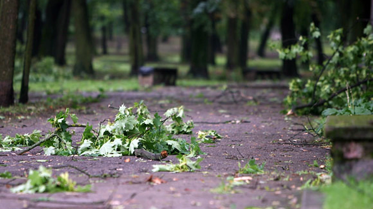 Audra mieste / Eriko Ovčarenko / BNS nuotr.