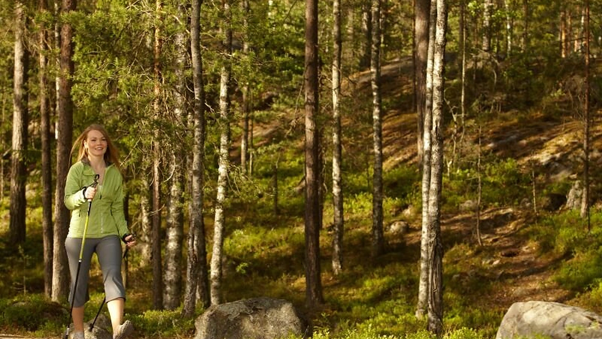 Vaikščiojimas su lazdomis