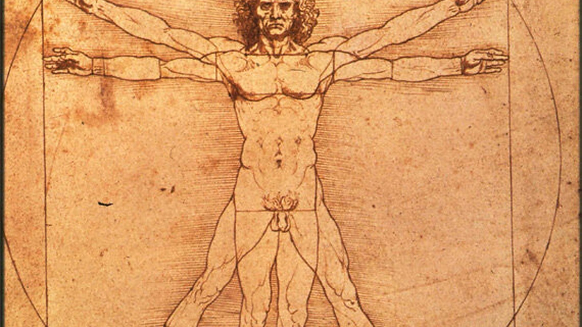 Leonardo da Vinci "Žmogaus anatomija"