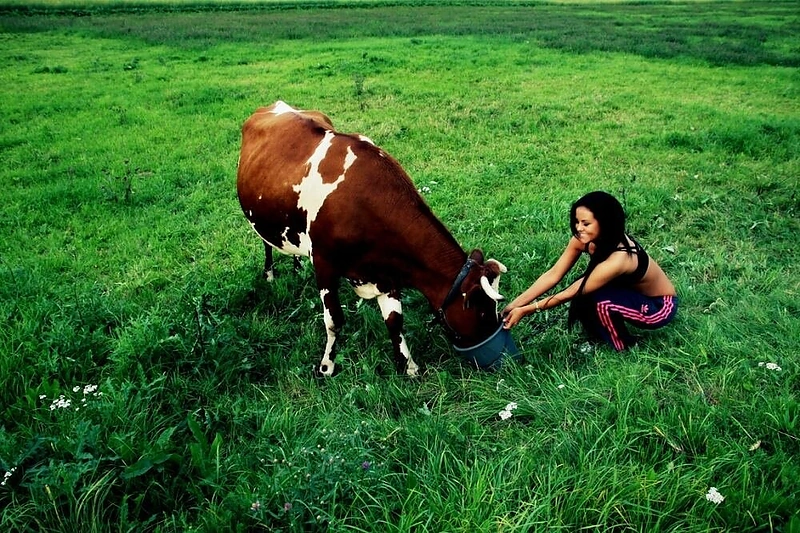 Indrė Burlinskaitė girdo karvutę