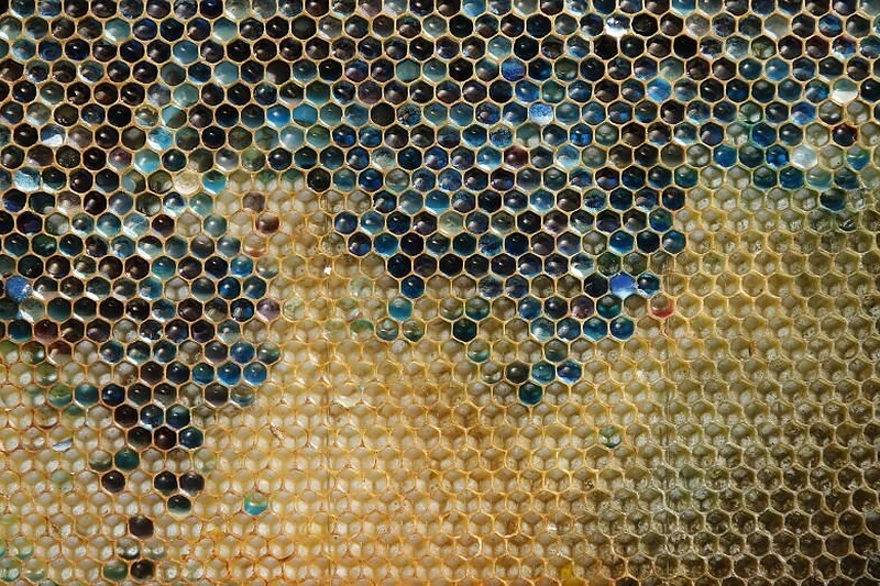 Prancūzijoje bitės neša spalvotą medų