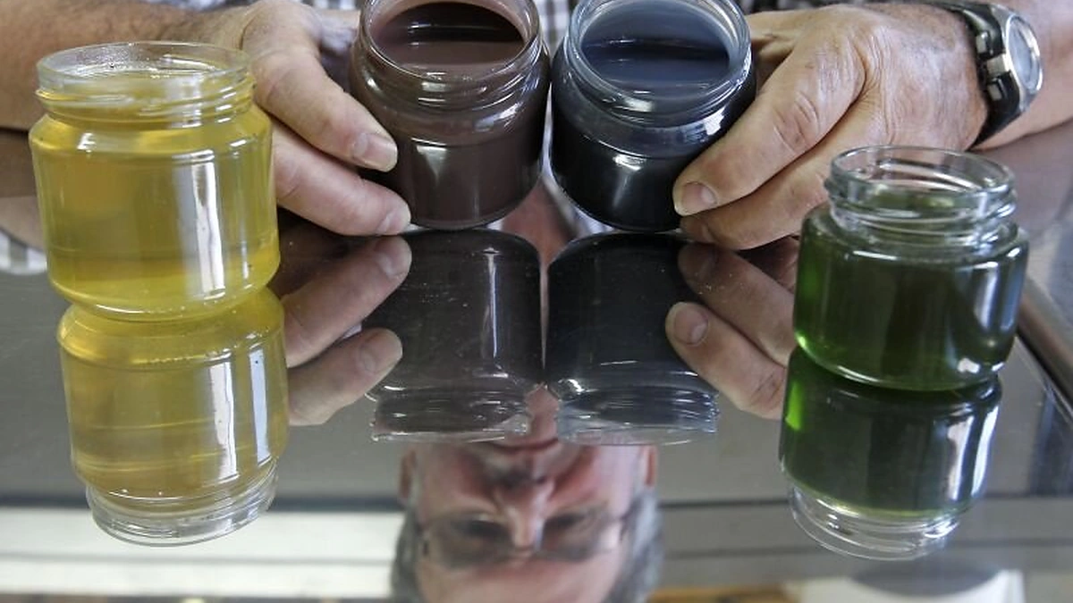 Spalvotas medus Ribeauvillyje (Prancūzija)