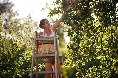 Obuolys pusryčiams – ir diena taps šviesesnė