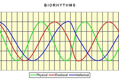 Kaip mus veikia bioritmai