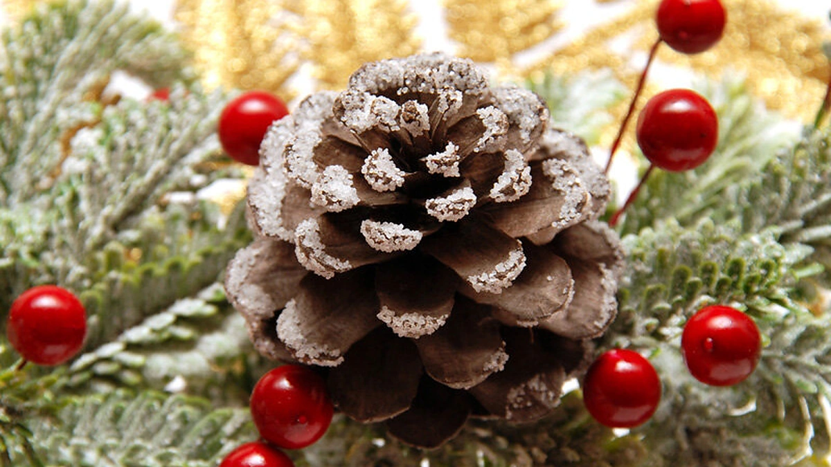 Kankorėžis - eglutės žaisliukas