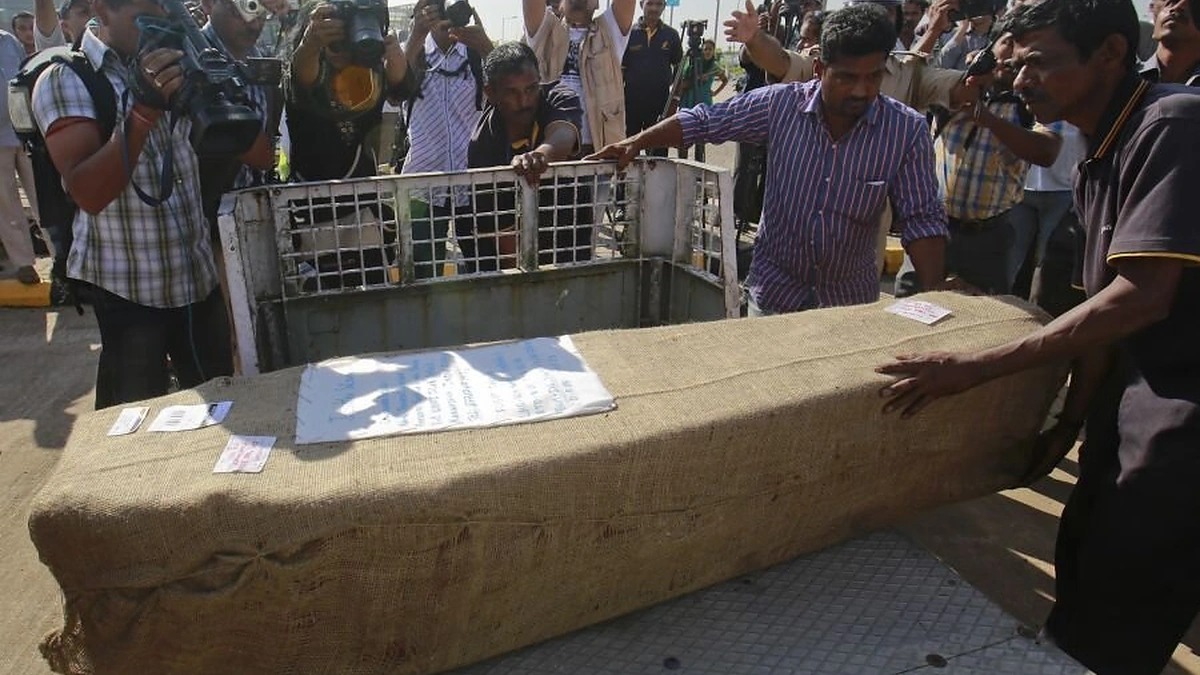 Moters kūnas sekmadienį atgabentas į Indiją.