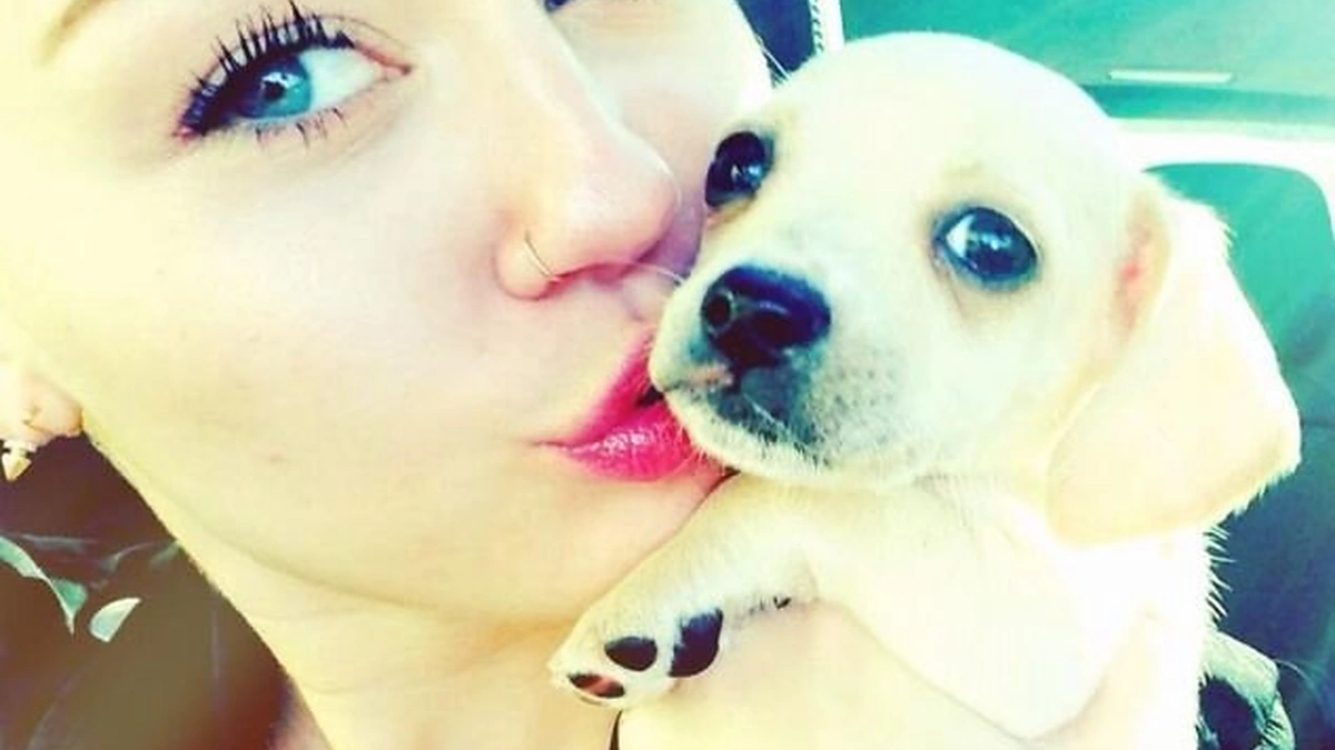 Miley Cyrus ir naujoji augintinė Bean