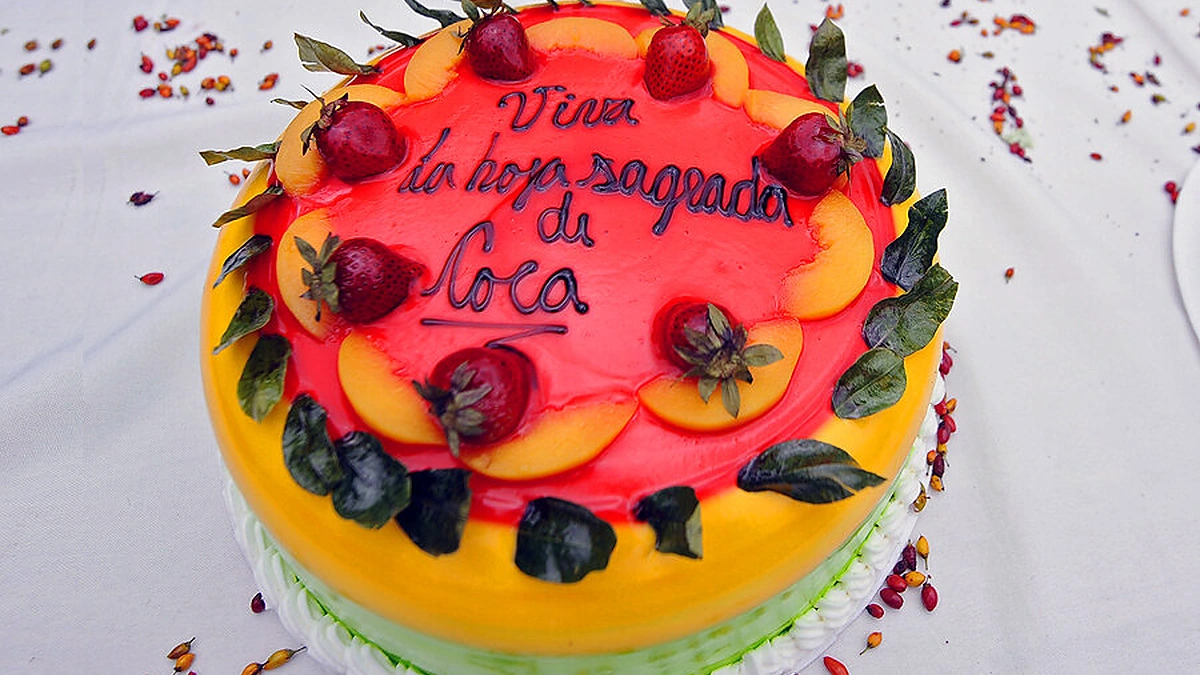 Kokos miltais gardintas tortas