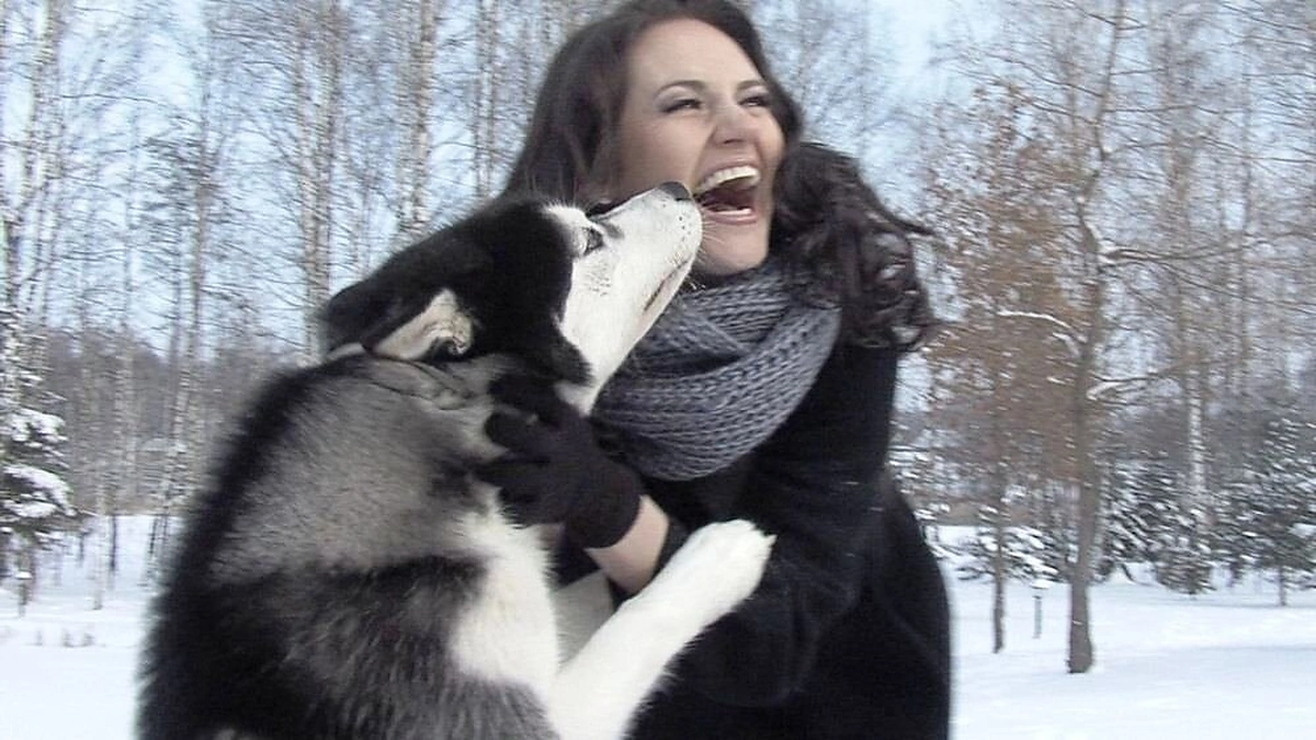 „4 Roses“ fotosesija su Sibiro haskiais