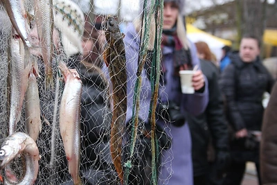 Į Palangą plūdo stintų mėgėjai