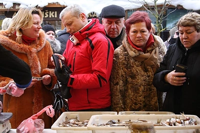 Į Palangą plūdo stintų mėgėjai