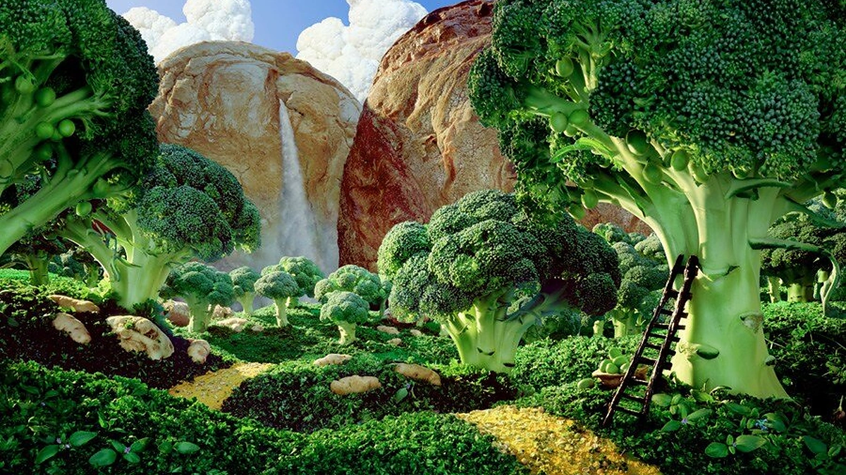 Carlo Warnerio menas iš maisto