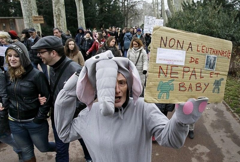 Protestuotojai Liono zoologijos sode