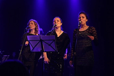 Girmantės Vaitkutės koncerto akimirka