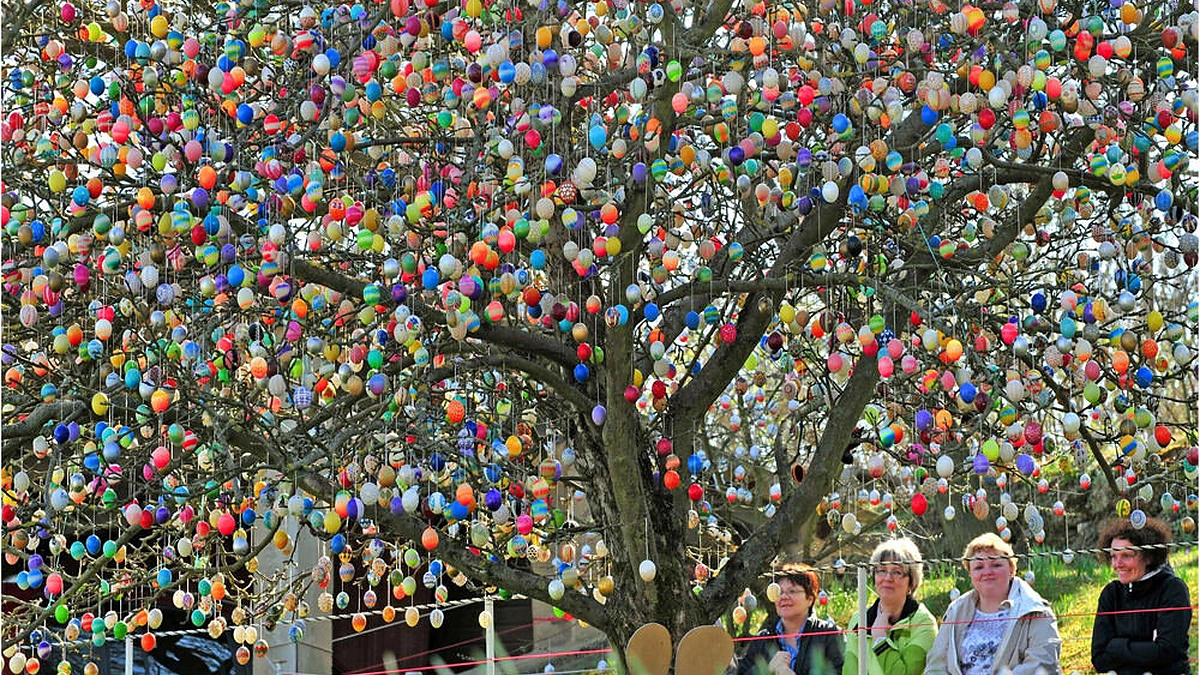 Volkerio Krafto velykų medis