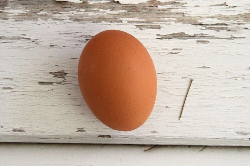 Smeigtuku pradurti kiaušinio galai