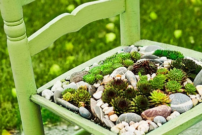 Lauko gėlių tendencijos. Grožimės, renkamės, svajojame...