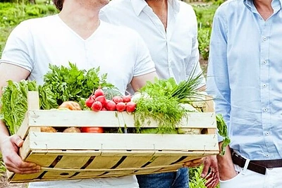 „Virtuvės mitų griovėjai”