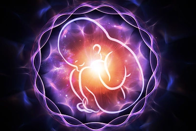 Placenta. Kodėl ji tokia svarbi?