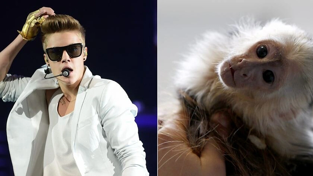 Justinas Bieberis ir Mally