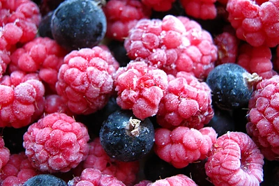 Kaip šaldyti daržoves ir uogas?