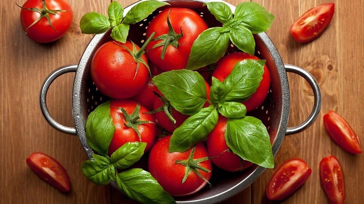 Pomidorai su bazilikais