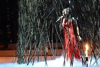 Karina Krysko-Skambinė