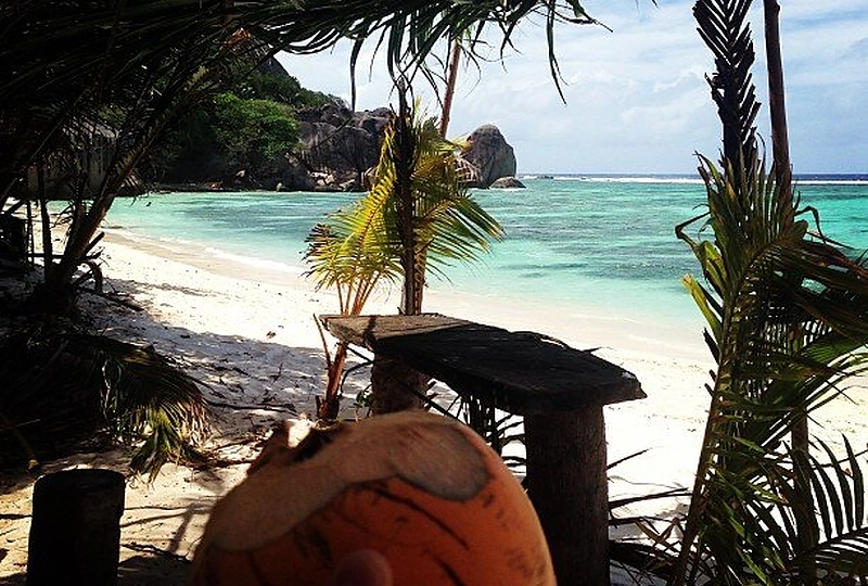 Jono ir Simonos Nainių medaus mėnuo Seišeliuose