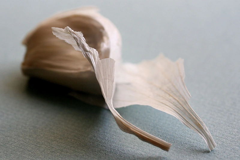 Česnakas – ne tik nuo peršalimo ligų