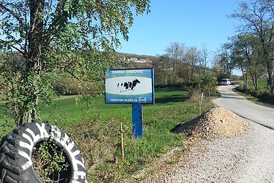 Serbija Dovilės Filmanavičiūtės akimis