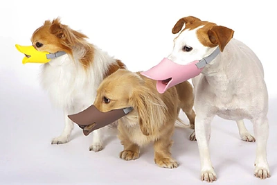 Šypseną keliantys išradimai: „už“ ar „prieš“?