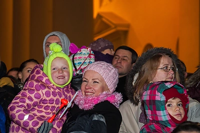 Vilniuje įžiebta Kalėdų eglė / Dariaus Jakubausko nuotr.