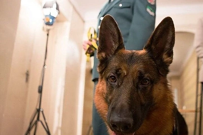 Kadras iš filmo „Inspektorius Mažylis“