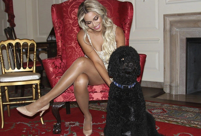 Beyonce su Obamų šunimi