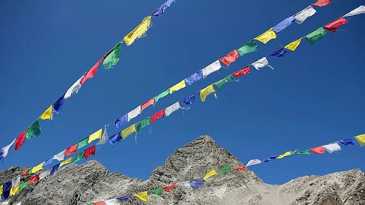 Maldos vėliavėlės