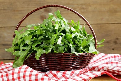 Ką dar galima pasėti ir pasodinti birželio mėnesį