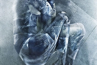 Kristinos Vikøren kolekcija