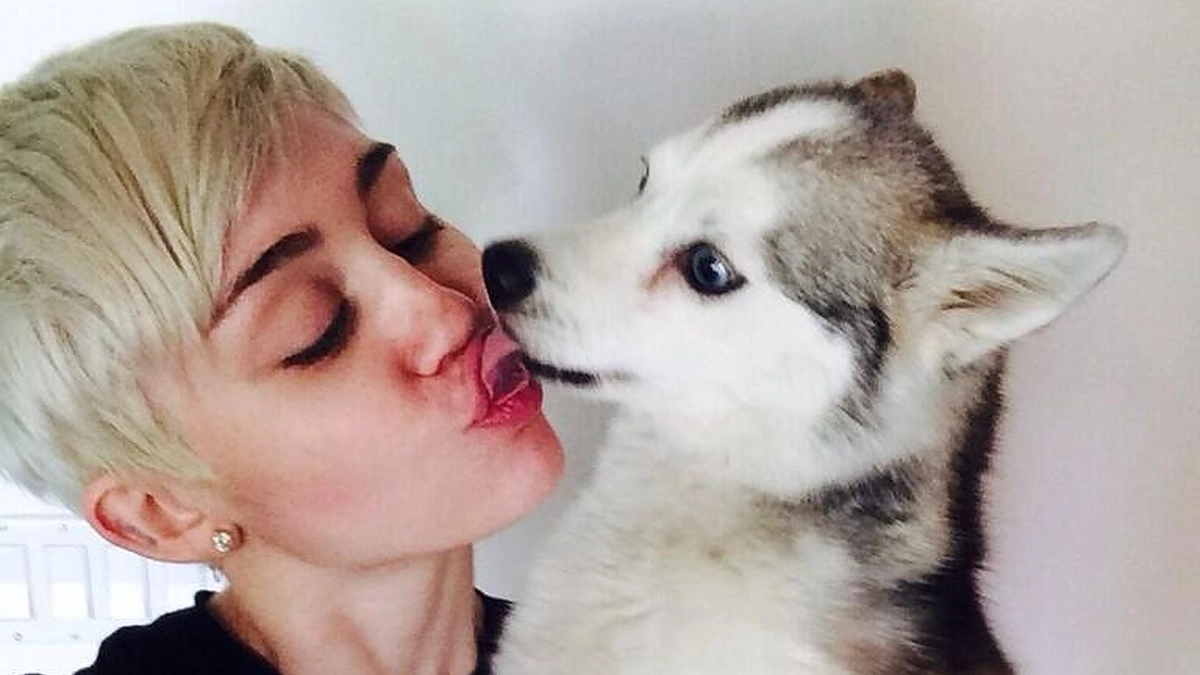 Miley Cyrus ir Floydas
