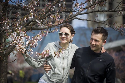 Prie Nacionalinės dailės galerijos pradėjo žydėti sakuros / Irmanto Gelūno / BNS nuotr.