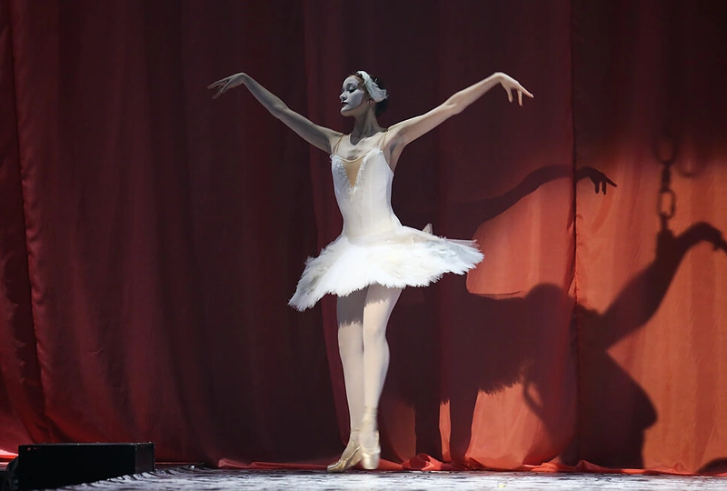 Kolekcijos „Šou“ pristatymas