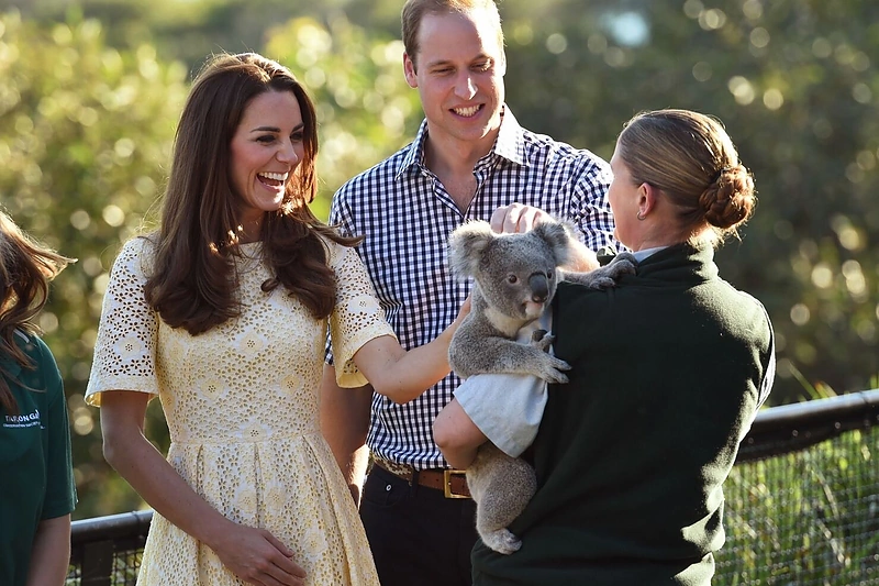 Princas Williamas ir Kembridžo hercogienė Catherine