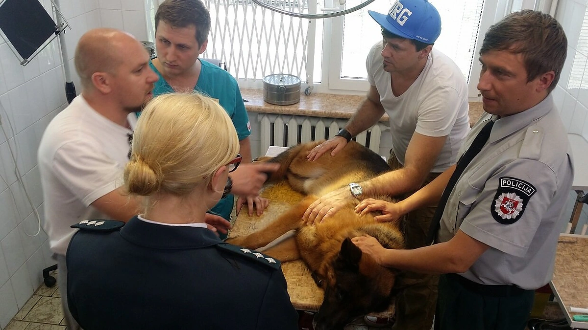 Serialo „Inspektorius Mažylis“ komanda