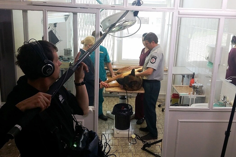 Serialo „Inspektorius Mažylis“ komanda