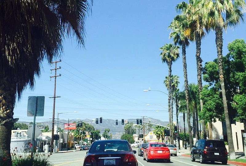 Simonos Milinytės gyvenimo JAV akimirka