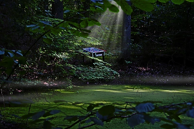 „Roko naktyse“ melomanai galės pasinerti į lobio paieškas