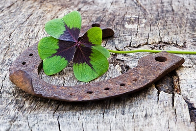 Kodėl vertėtų tikėti sėkme?