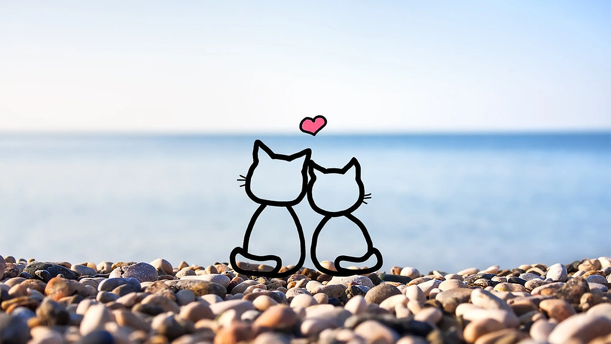 Katinėlių figūros