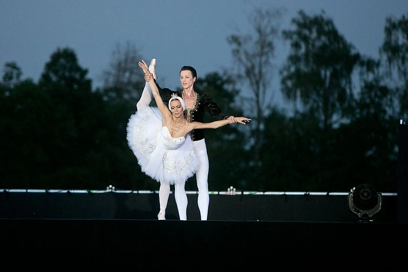 Baletas „Gulbių ežeras“