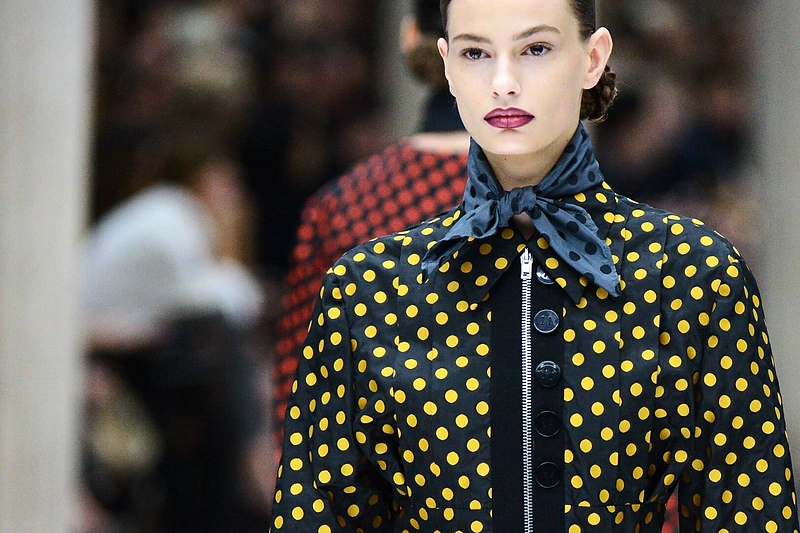 „Miu Miu“ 2013-2014 m. rudens-žiemos kolekcija Paryžiaus mados savaitėje.